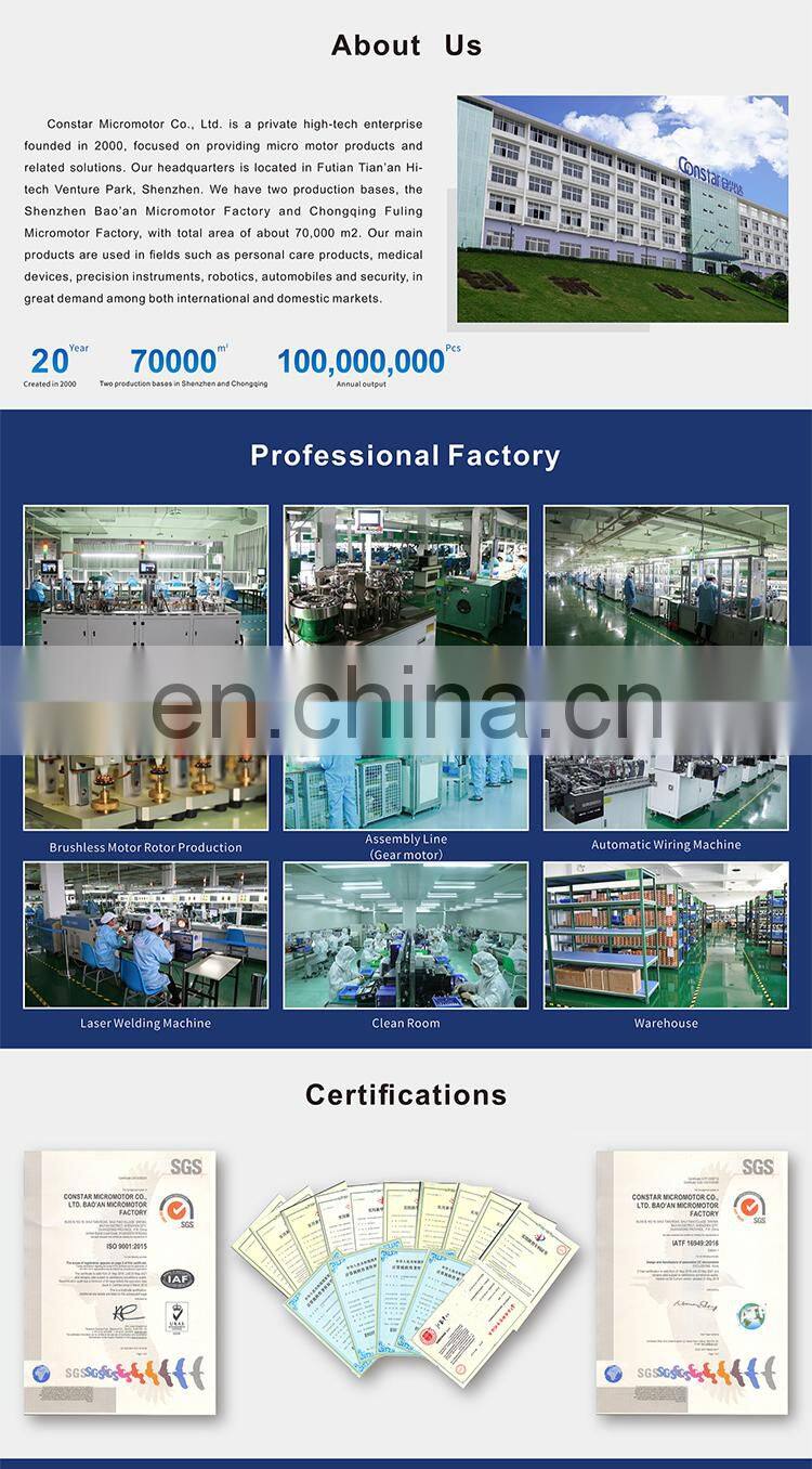 High Power 1KW 24v Dc Brushless Lawn Mower Motor