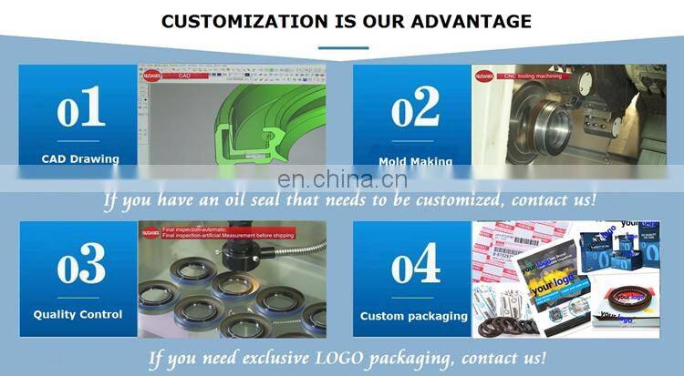 Customized Oil Seal Manufacturers Shaft Seal Types NBR FKM Power Steering Rubber Skeleton Oil Seal Factory