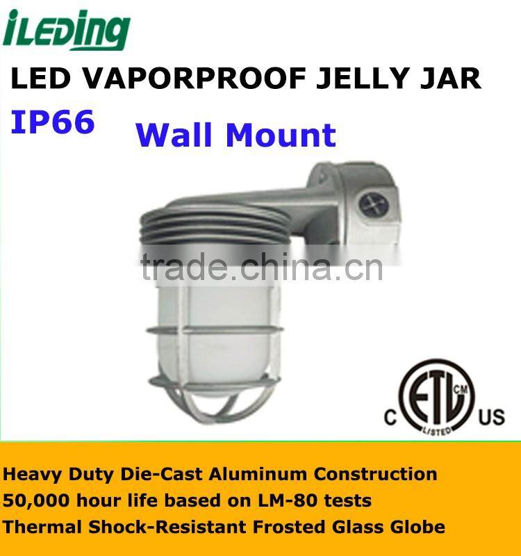 Weatherproof Industrial Metal Cage Bulb Protector Wall Mount Light Fixture