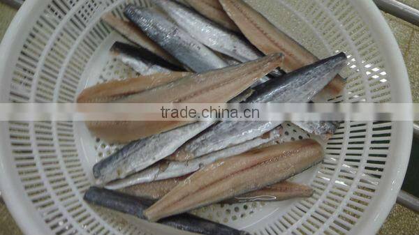 Supply frozen Spanish mackerel (scomberomorus niphonius)