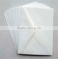 Customzied Envelope Bag