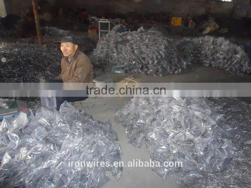 Polished wooden nail(factory)