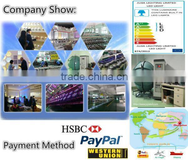 Bridgelux Chip CE / RoHS 300W LED flood light