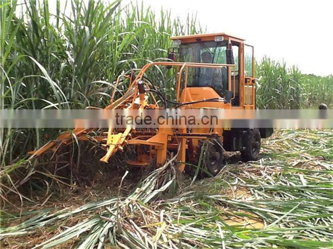 SL5 mini sugarcane lifter/mini sugarcane loader TAGRM in bottm price
