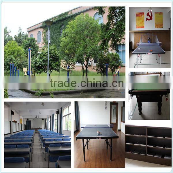 phone accessory 5600mAh power bank china lipo battery