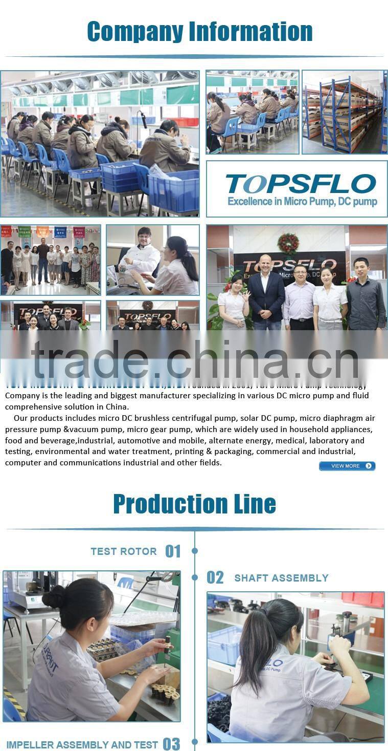 6v 12v 24v dc diaphragm small ozone purifier for air water with air pump