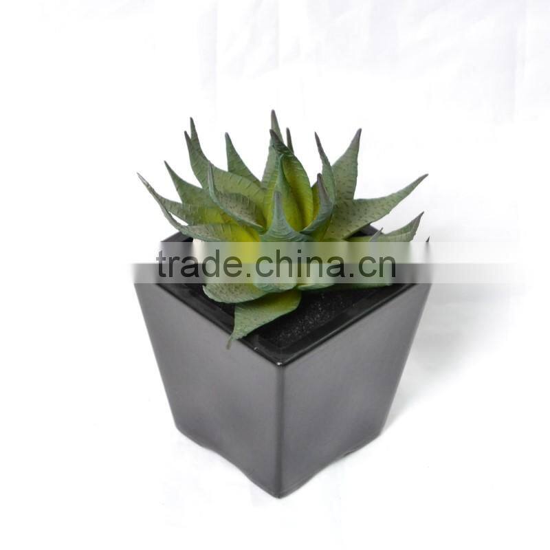 Artificial Echeveria Succulent Desk Top Plant in black Pot