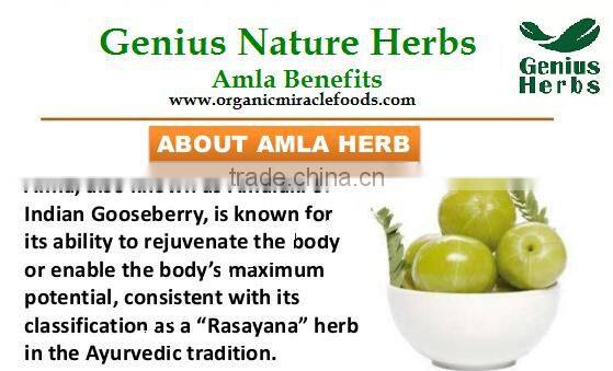 100% Pure Amla Capsules Bulk Exporters