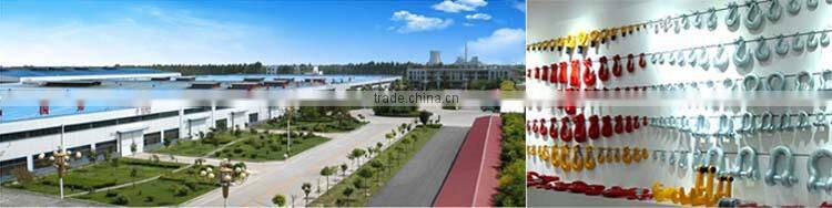 US Type High Strength Alloy Steel Chain Hook