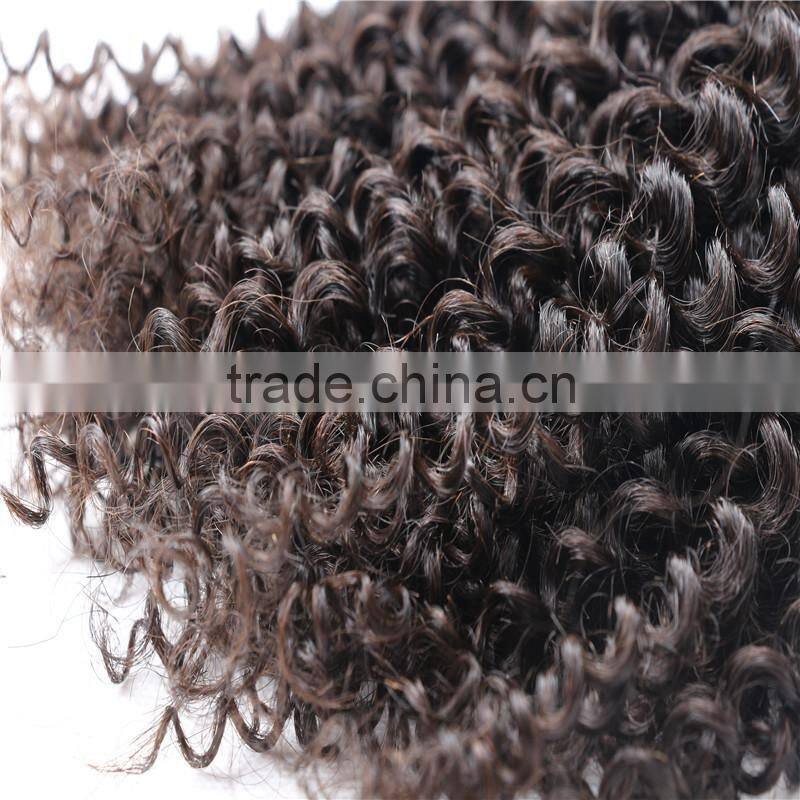 Grade 7A Malaysian Virgin Hair Water Wave 4pcs Lot Free Shipping Cheap Malaysian Curly hair 8"-30" Remy Human Hair Weave