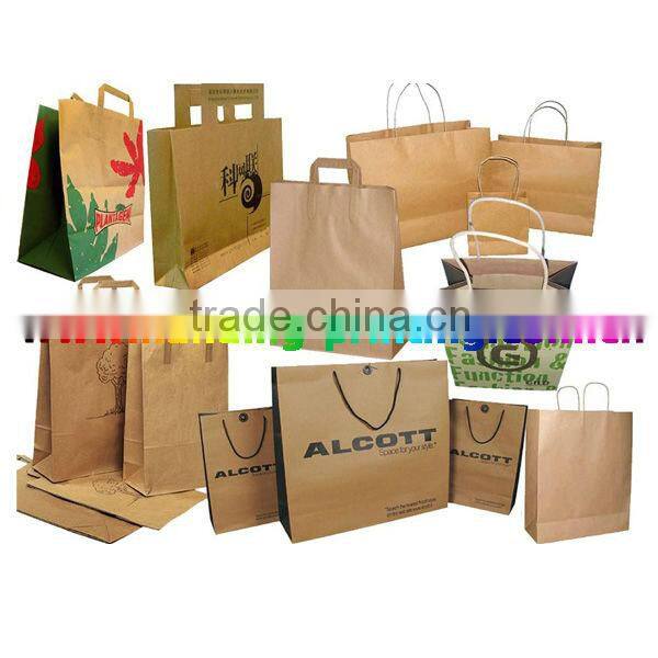 Suppy custom paper bag 2013