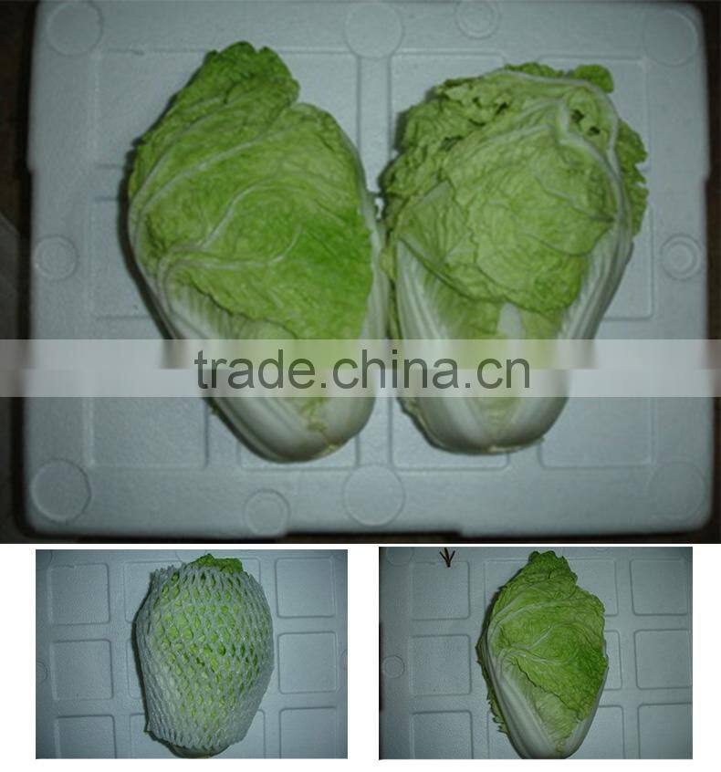 selected seasoned big Chinese cabbage