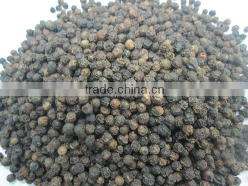 BLACK PEPPER FOR SELL