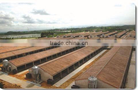 pig animal farming / farm equipment