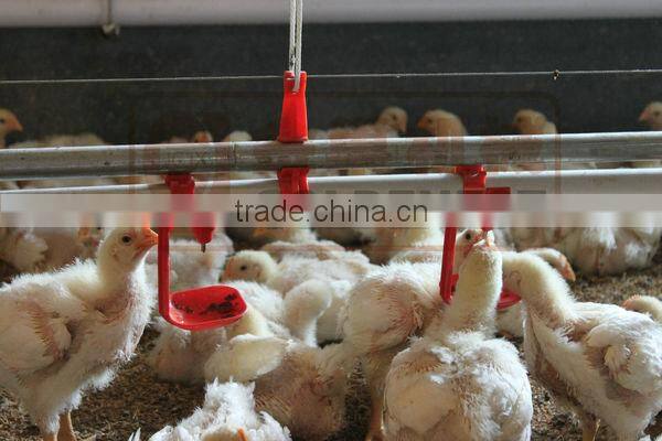 chicken water nipple drinking and drip cups