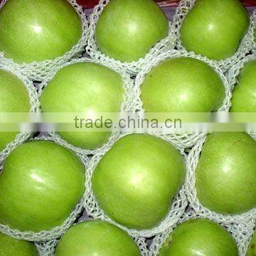 Cantaloupe Packing Net Producing Machine(FS-FPW75)