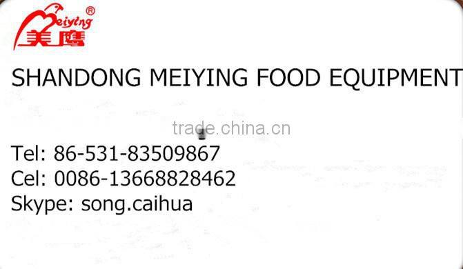 Professional MS Gluten Washer for bakery etc