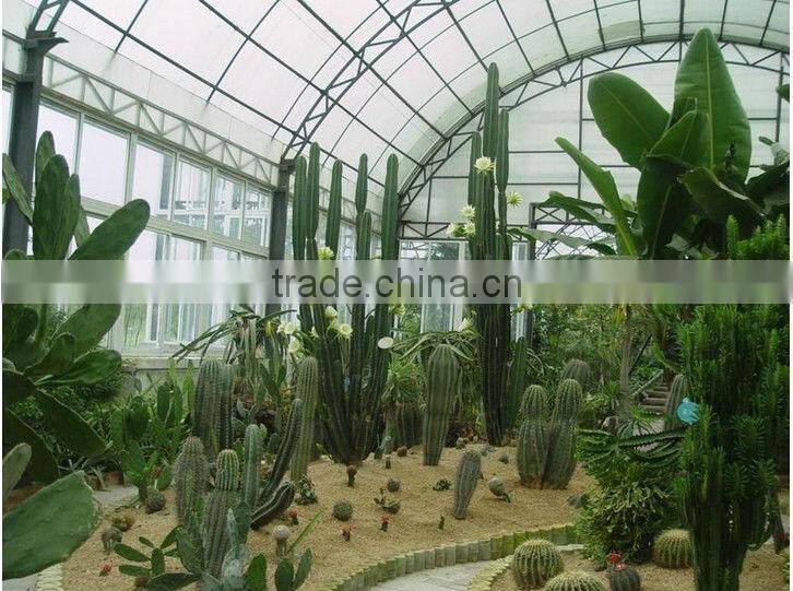 polycabonate sheet for decoration
