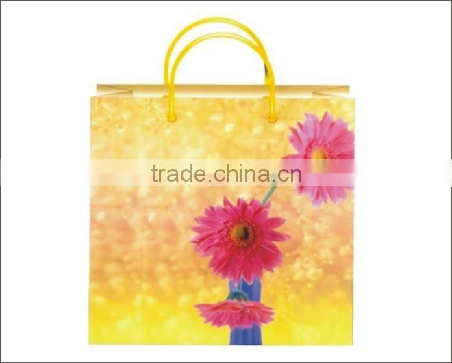 Shopping paper bags with glossy finish & Rope Handles