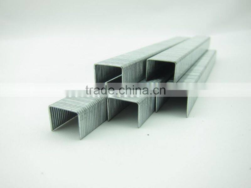21GA 8009 Galvanized Staple
