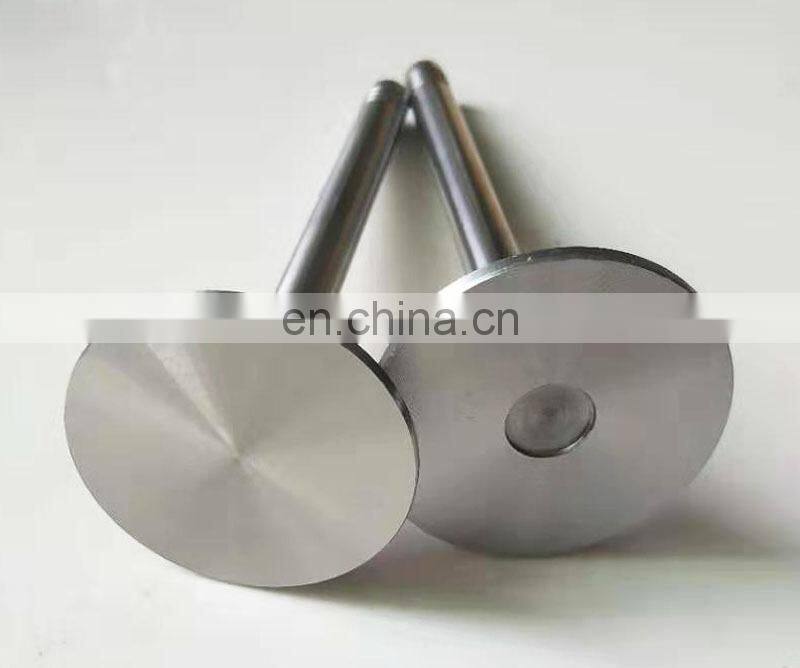 226B  intake Valve  12159606  And Exhaust Valve 12159608