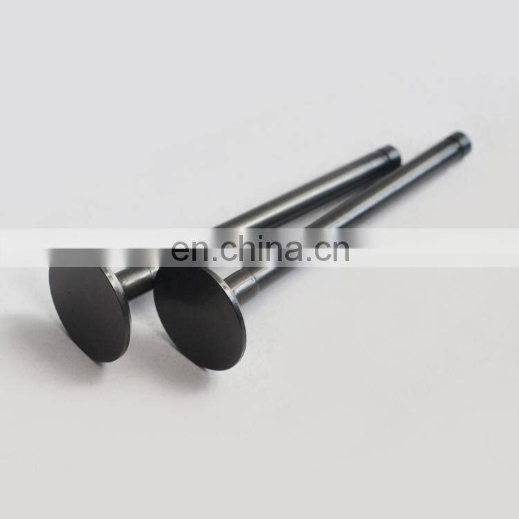 Forklift Excavator Machinery Engine A1400 A1700 A2300 Parts Exhaust Valve 4900338 4900337