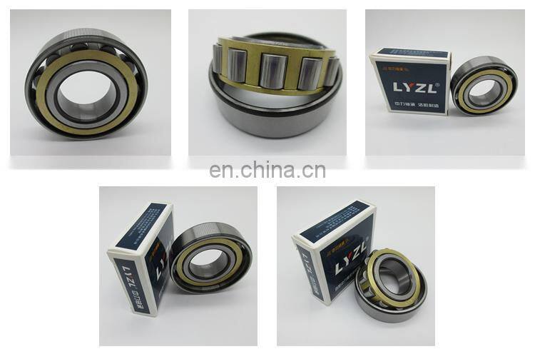 LYZL China Brand High quality Cylindrical Roller Bearing N203 N204 N205 N206 N207 N208 N209 N210