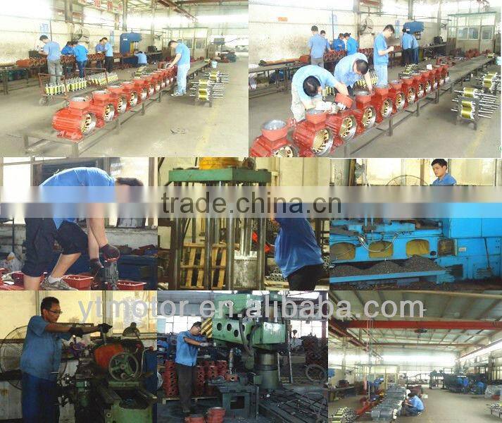 Asynchronous and Three-phase vibration motor company