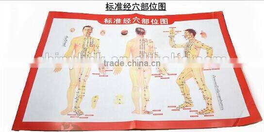 Chinese medical Acupuncture Charts points (Front, side, reverse side)