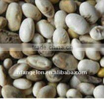 Light Speckled Kidney Bean Color Sorting