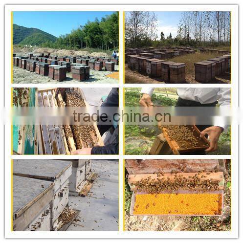 health bee food nature tea pollen