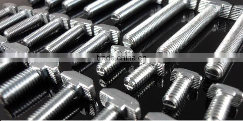 slot 8 and 10 hammer T bolt