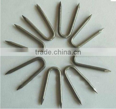Rapid 13 u staples steel nails manufacturers