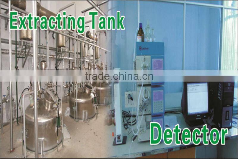 Low Price Ursolic Acid /Ursolic Acid Powder