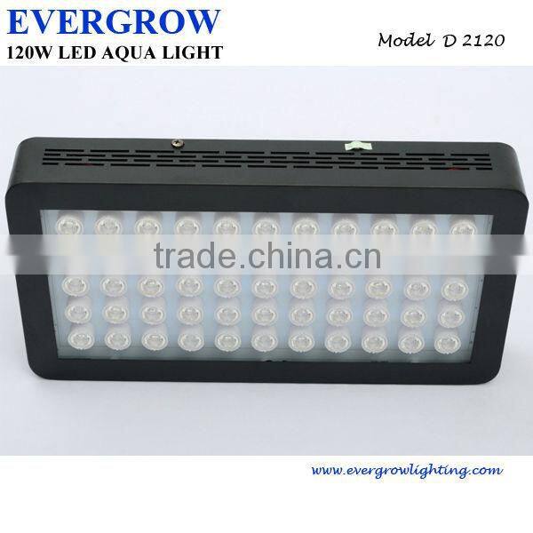 New Design EverGrow 16" 120w Dimmable led aquarium light