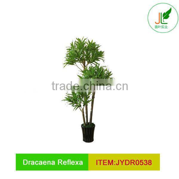 Artificial Dracaena Reflexa