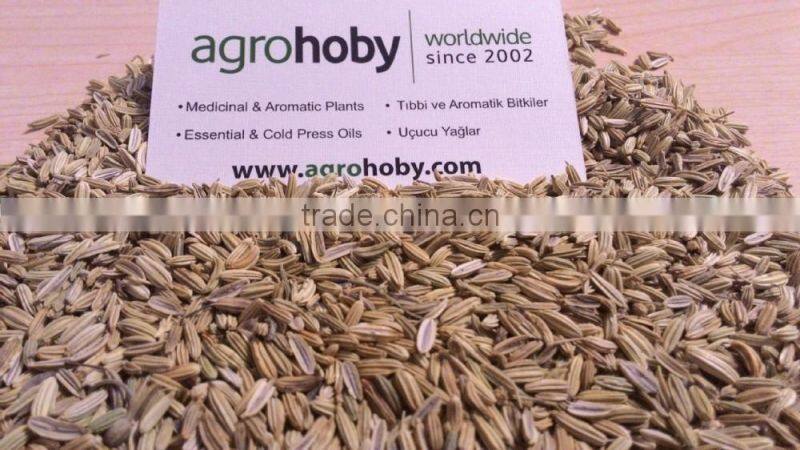 Turkish origin Fennel Seed factory