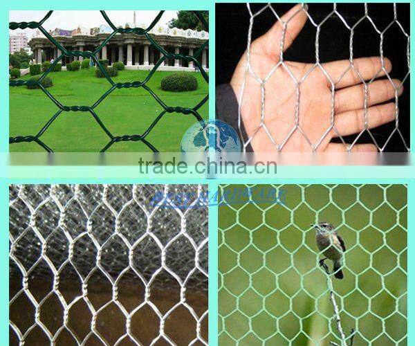 Hexagonal wire mesh(factory)