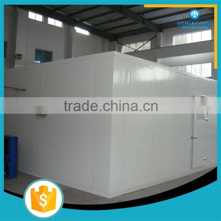 Fruit and vegetable solar cold room