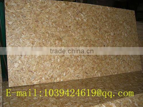 good quality 9 to16.5mm E0 OSB board in Linyi China factory