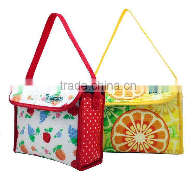 insulated cooler bag, plastic cooler bag