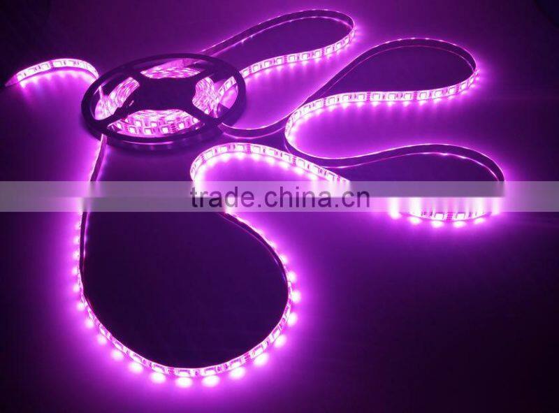 magic color chasing dream led strip