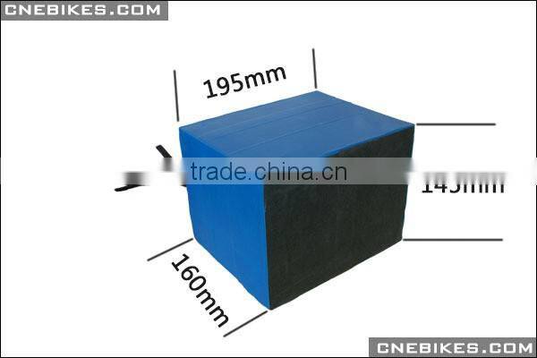48v 20Ah LiFePo4 battery pack for high power ebike