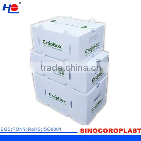 Corrugated Plastic Tote