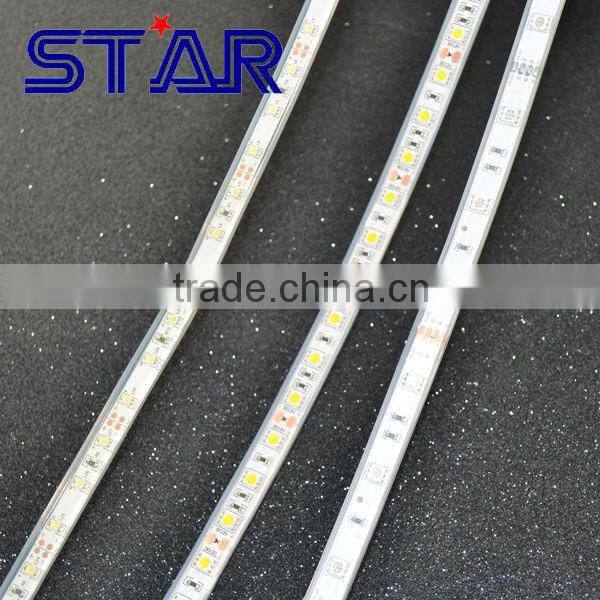 Flexible LED Strip Bande IP68 3528 300led 24w 12V 6000-8000K