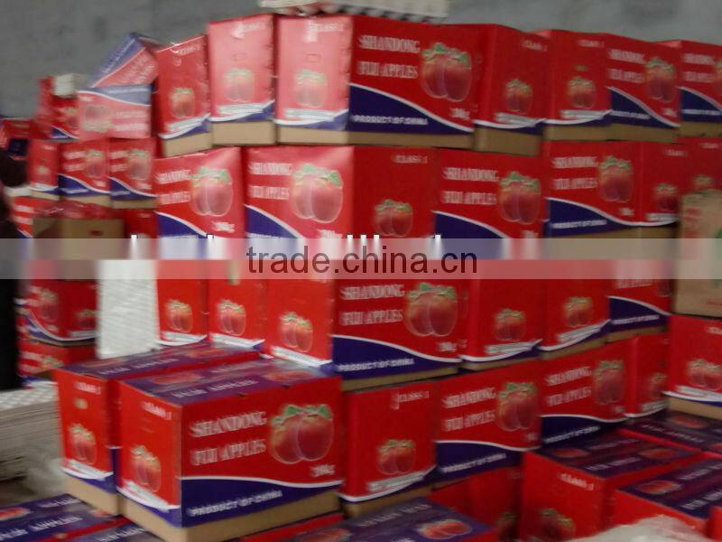 chinese red fuji apple suitable for long time shipment