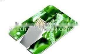 Credit Card Usb Flash Drive promotional business card 2.0 usb flash drive with 2GB,4GB,8GB,16GB