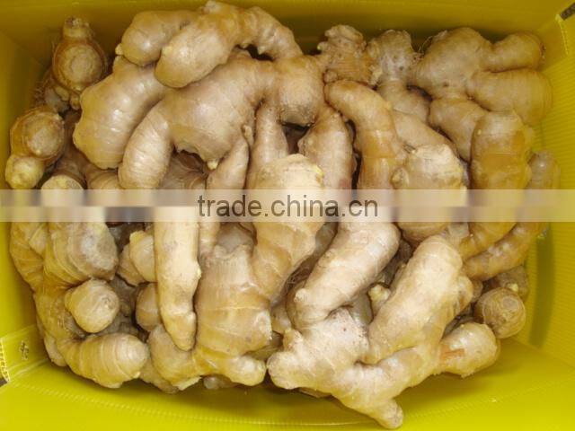 China air dried fresh ginger
