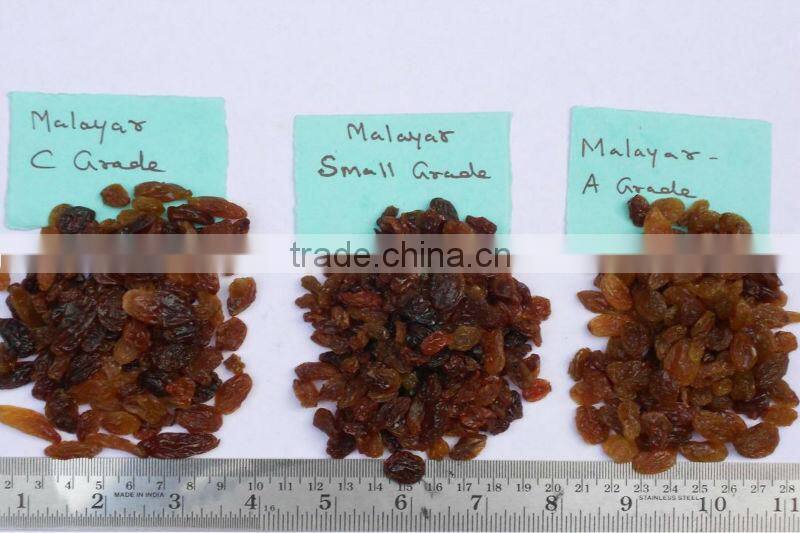 HIGH QUALITY INDUSTRIAL RAISIN
