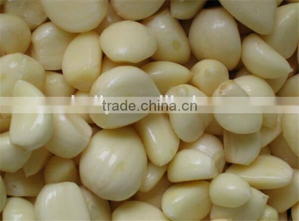 Stainless steel price of garlic peeling machine 0086-15037185761